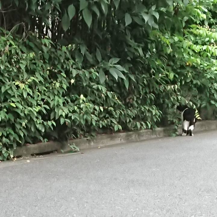 A8016fd7 ba47 472c b305 8924cef7adb4 1600244070995