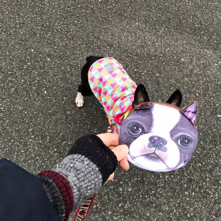 A801814e 119a 4d51 8137 6b76aeda9047 1513413941145