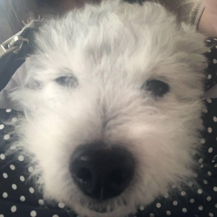 A801842f 99df 49ce b5b8 fd2c6a7bcdd7 1591404780737