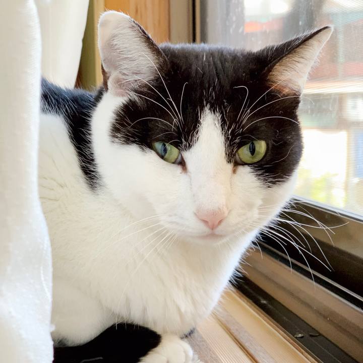 A80187b4 a277 4bc9 b8a4 6df15f4f6664 1550888008831