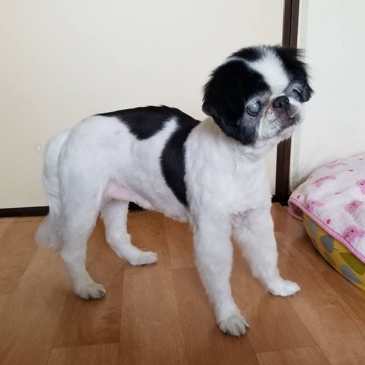 A801a53b a4d2 4cc4 a2d0 bb8e8e9e221b 1619252614385