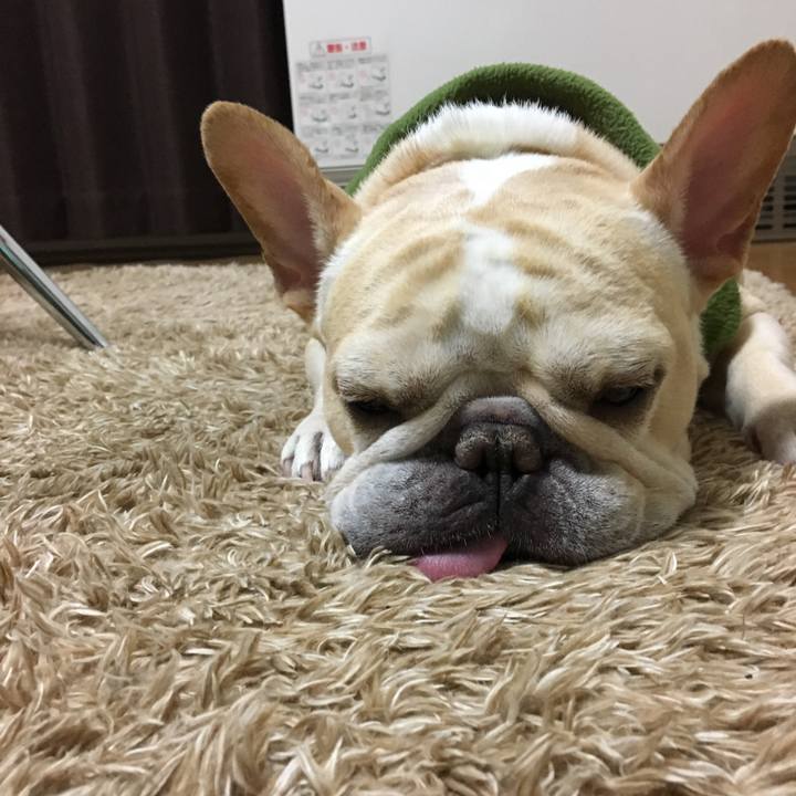 A801abc8 bbcf 48b4 b305 a01215657dc6 1508843817287