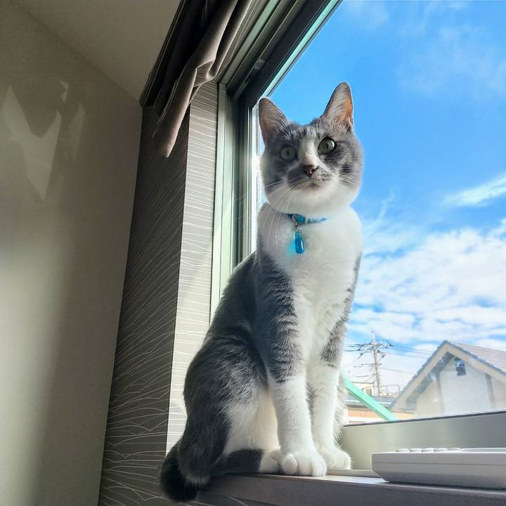 A801c336 e8c6 4471 af5c 35d323789726 1625870463396