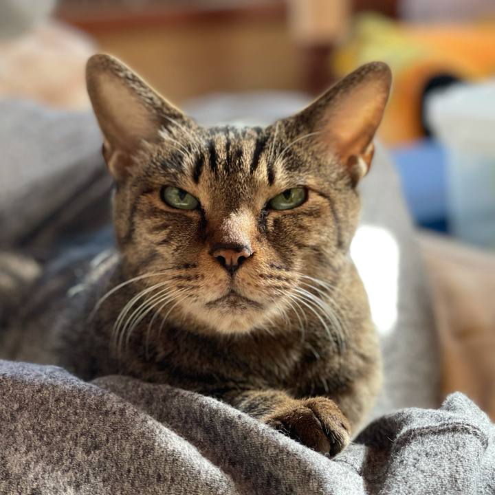 A801c4ba 29b2 4108 b458 e204e231ab30 1611193957995