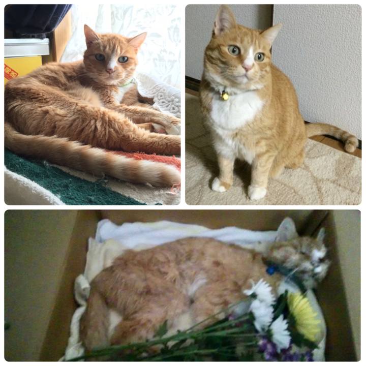 A801c56a 4e82 4018 9cd8 5e20dfe174c5 1599519856650