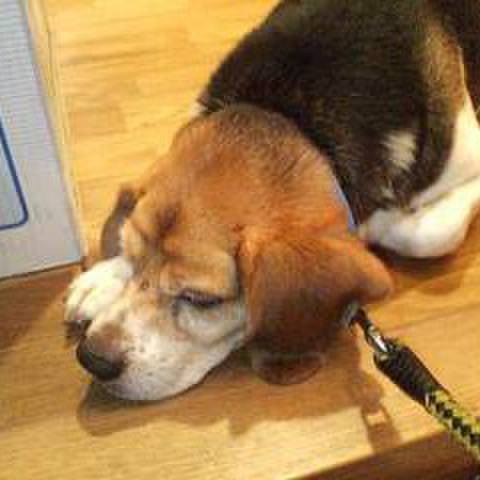 A801f704 647e 4efb a119 a91727a9db0d 1692059439215