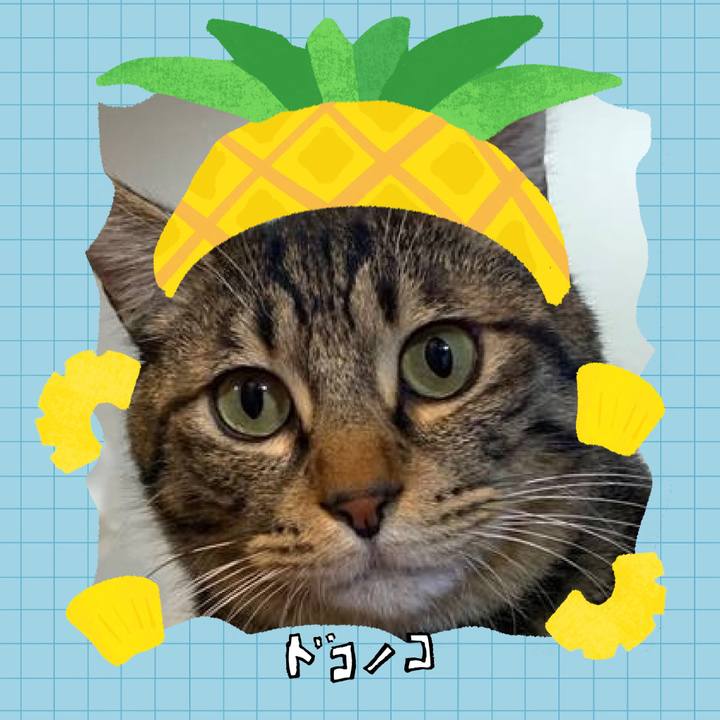 A801fa6e 157c 4e73 988f aff2ca6a6015 1784027284309