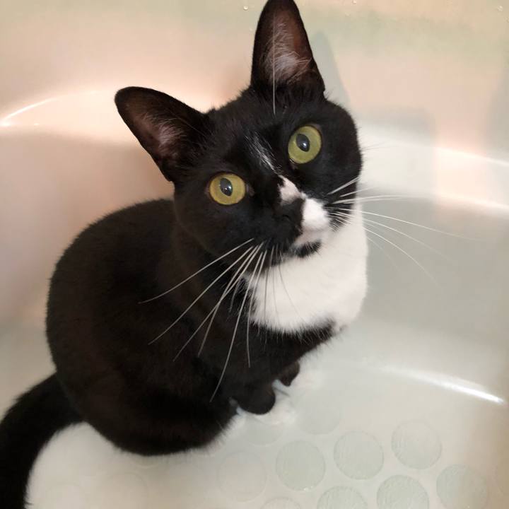 A802241c 9db2 42e0 b104 685738fd6ad0 1522966341222