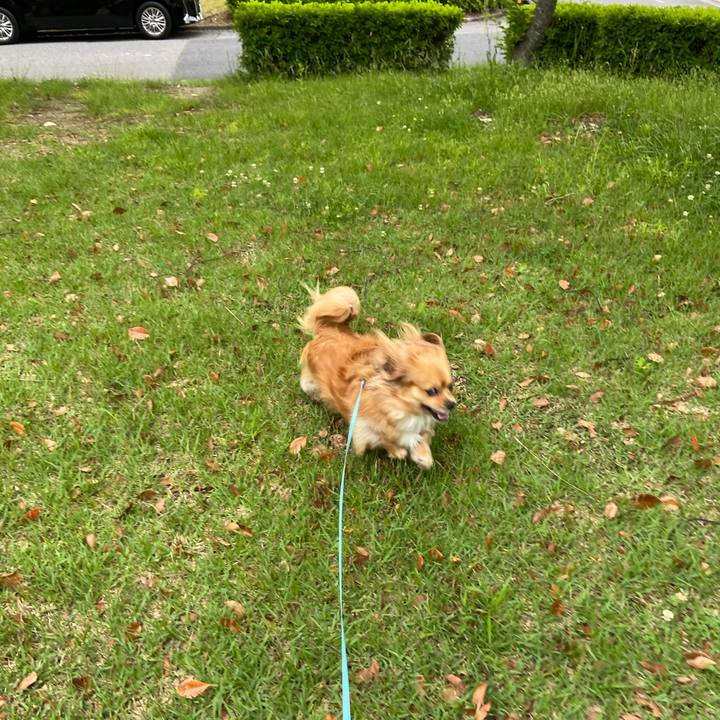 A80249b1 29e3 4ea3 aec3 d756ae9842eb 1590010802701