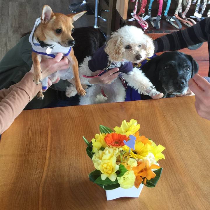 A802773c 95de 446c a77c 70d1dbf06a9c 1554617719868