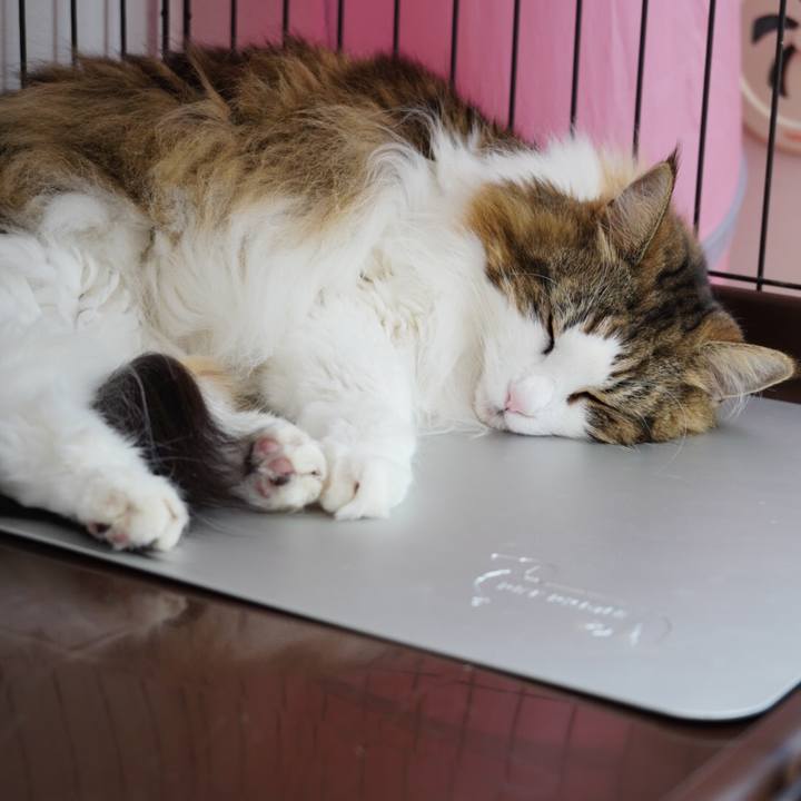 A802e35a e0c9 43be 97b1 30f51c797d6e 1658477022157