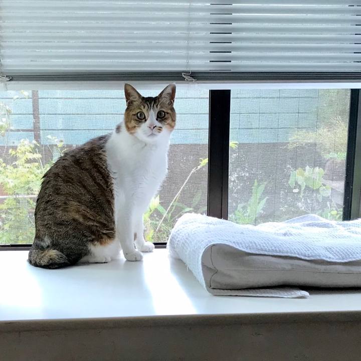 A8030768 dc5c 46f4 9b63 62e358cc5b16 1559709237887