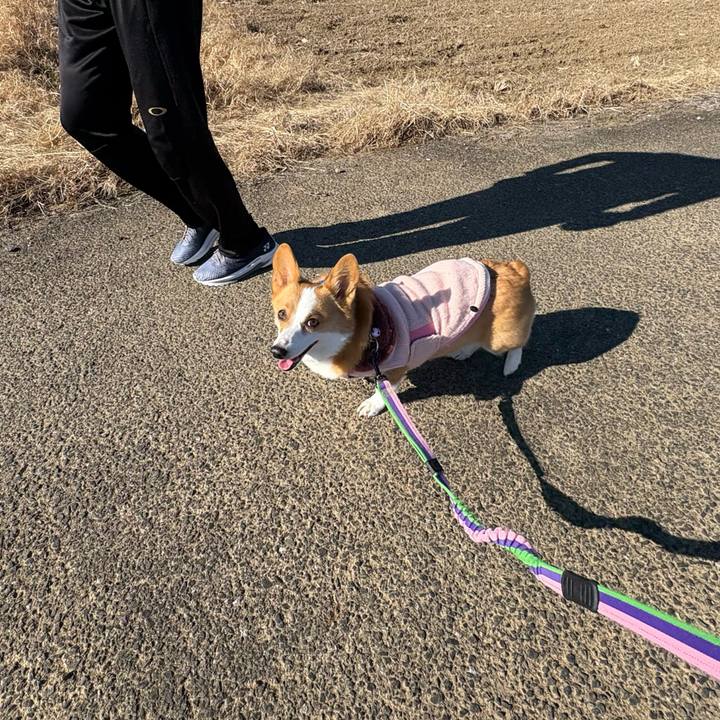 A80317b8 9ae4 41fc 830e 176ea1b572c7 1768025386951