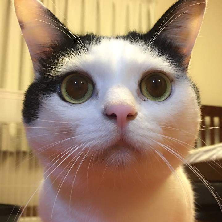 A803194d c0a4 4686 8eac 25a998de603e 1511524005733