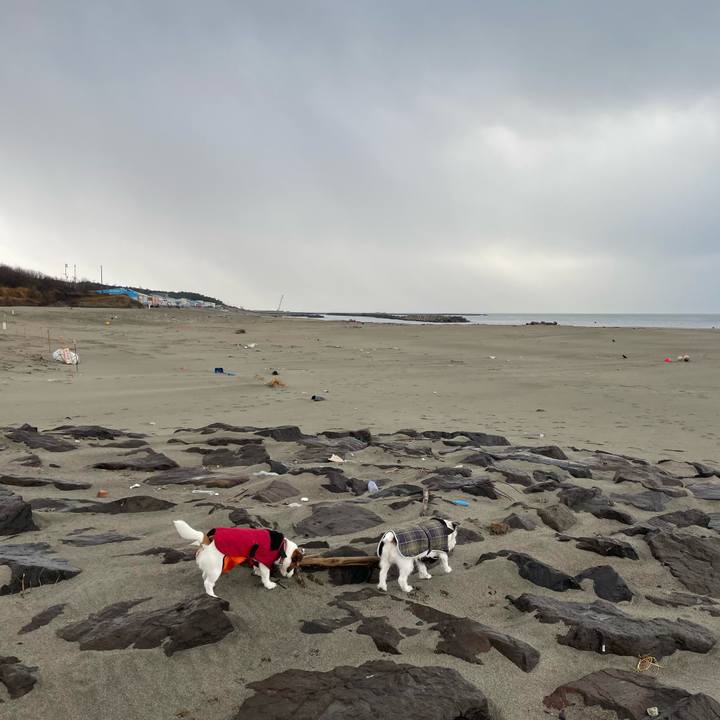 A803453a a451 44e1 b6b8 dce11a63e3aa 1673223226210