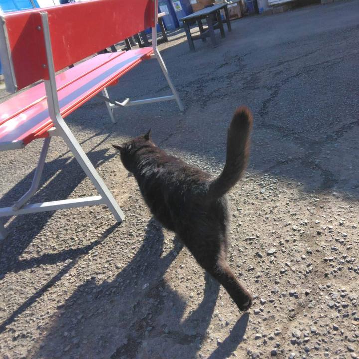 A80371b4 a154 40c0 84ba 4793164ce892 1671534471617