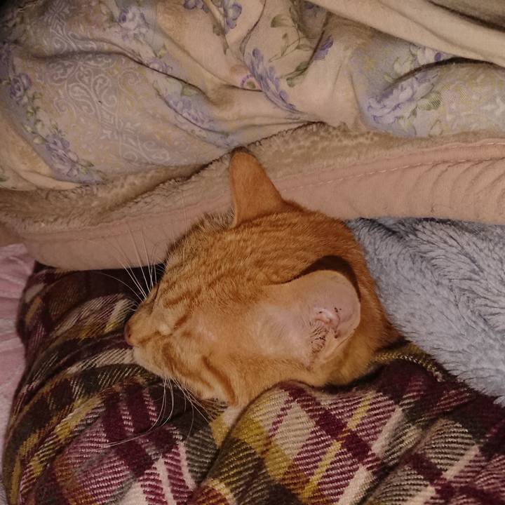 A80387a1 ebe8 426b 82e1 aaef5faa7cb8 1651613048603