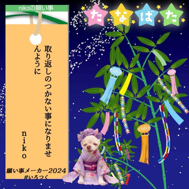 A8039a1d 8c60 4f6e 881b 76ae9fc9fe53 1720337325949