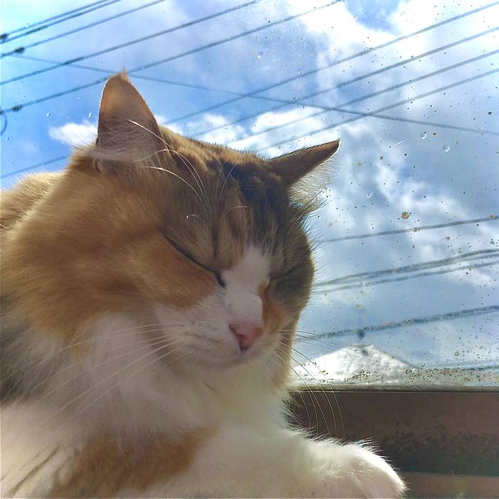 A803a8d0 e2b7 4452 8c0d 292c97a7ba48 1587097796937