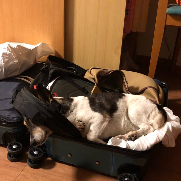 A803e32d 2afe 4845 9eac cb1535859e63 1564927520578