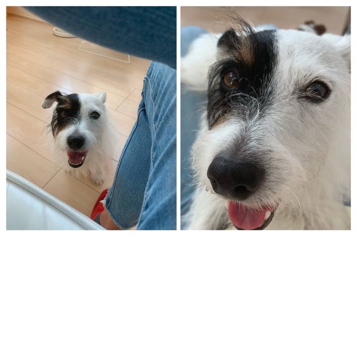 A8041572 157d 41d4 9773 2a94a49f269c 1633763107752