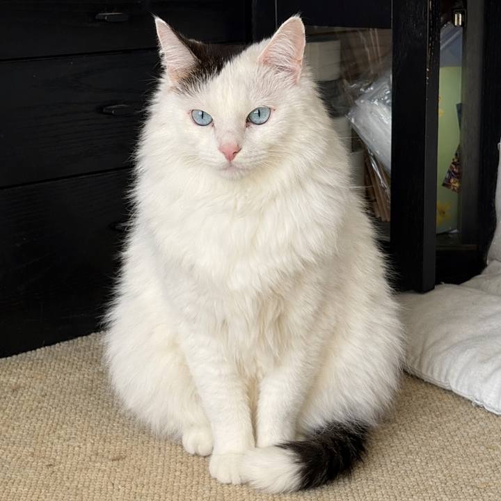 A804328c b359 4910 8bcb 32caaaf2fbf7 1767592743503