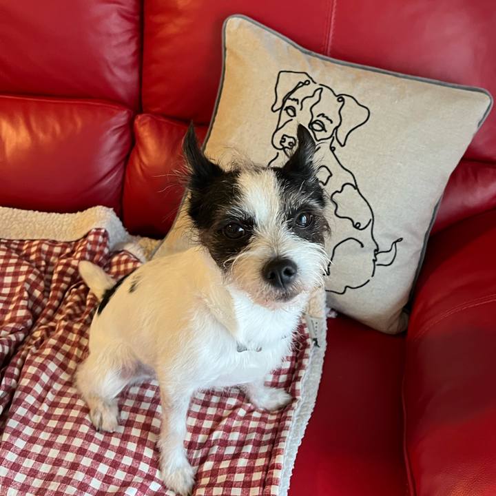 A804616e dd2c 4d6c af9f 7cbcee235dc4 1661572614006