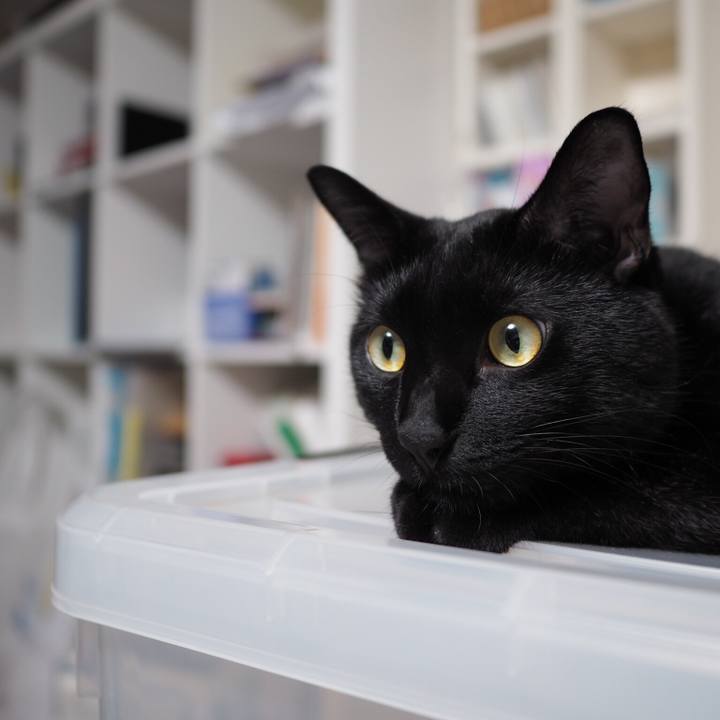 A8047617 6485 44e4 8d4f 61da52db532d 1535811024444