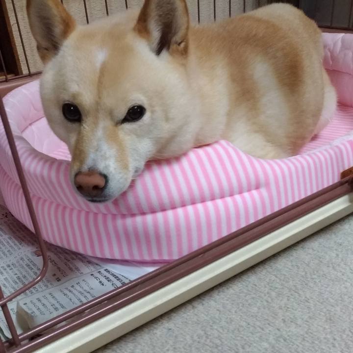 A80478df f5c3 4876 96e9 3787c113baff 1589073575961