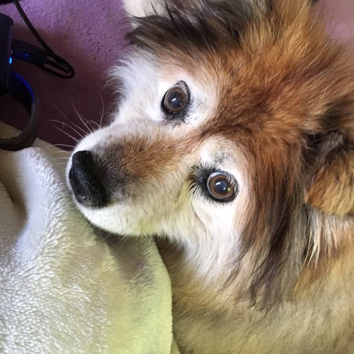 A804db25 5571 464e b65c 146c69983a92 1558740269394