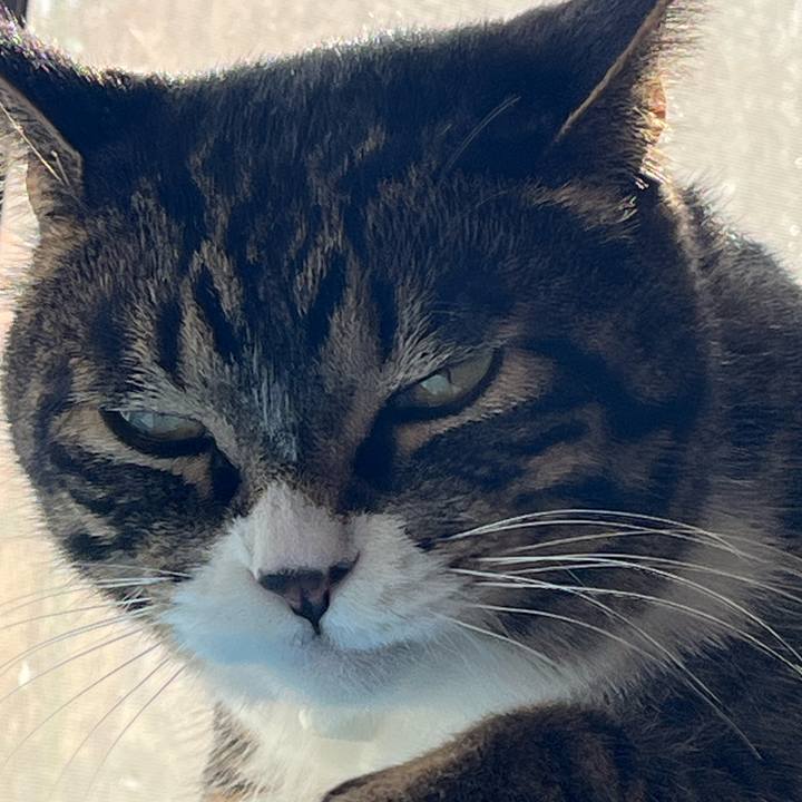 A80527ca 7ea1 4848 a4c6 5213e627f624 1770511505706