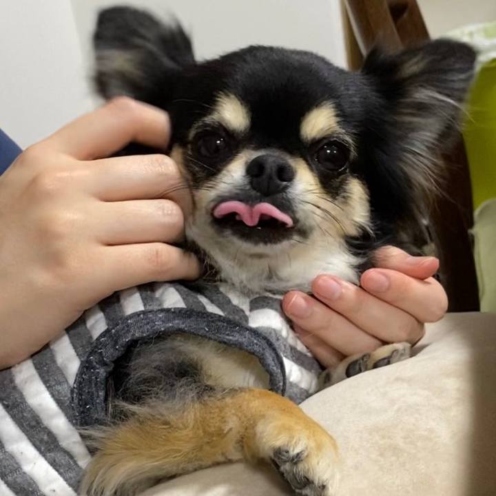 A8053fac 1aa4 4072 bd81 2f7314bdc553 1606776000601