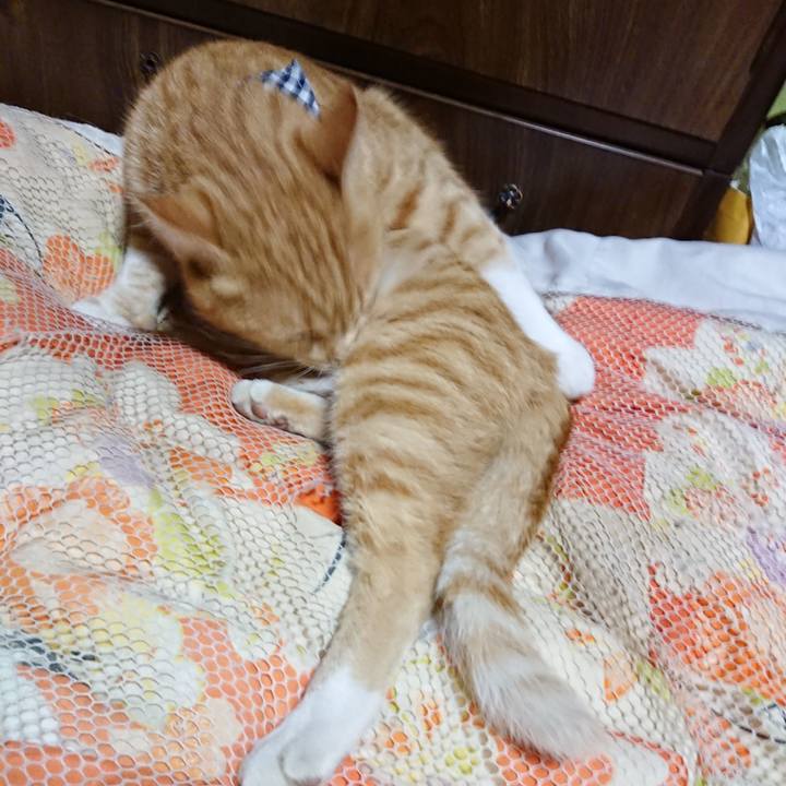 A80549be 2ab3 41bd adbe 530a5485ea5e 1569153843701