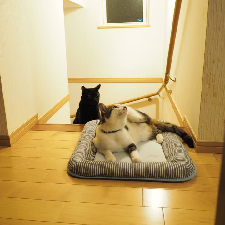 A8058c82 b7fb 47e3 b25d 5d86760fccca 1536976517625