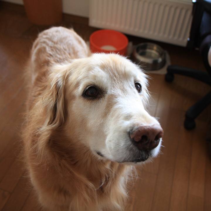 A805ad07 a96c 4326 bca6 96e53b358a77 1763800896795