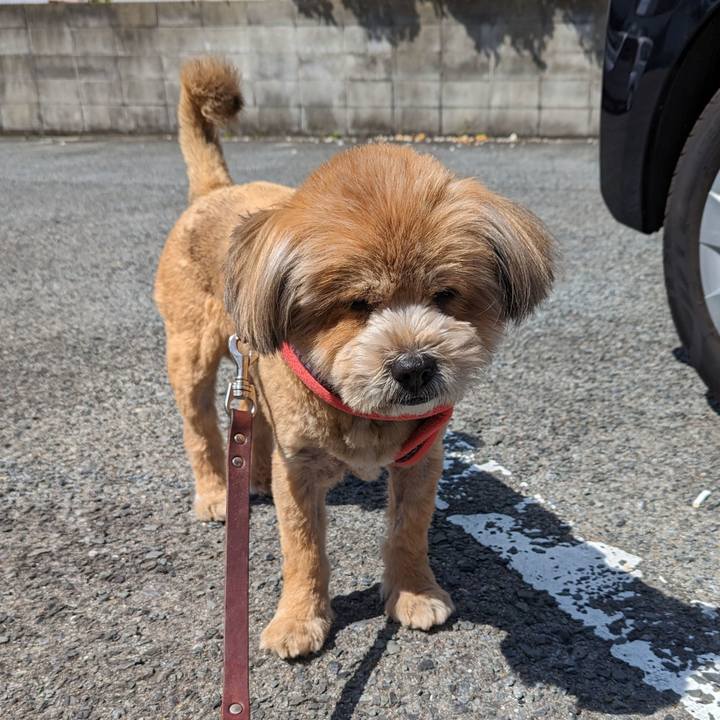 A805b4b8 2a50 48c4 ab65 828344b31c9f 1681295945602