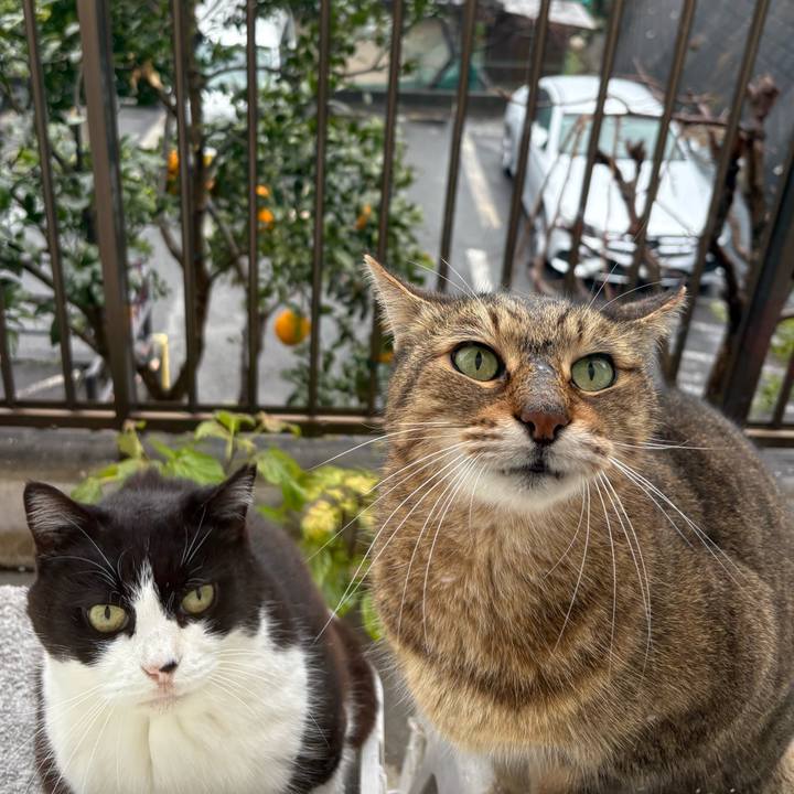 A805bbff 2858 4f93 a094 5cf1f8bef698 1766554792656