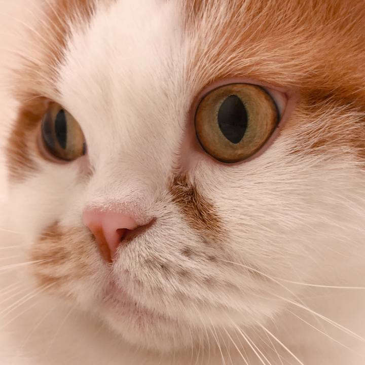 A805c060 2a27 4379 9c11 b40d5ba90544 1611148089069