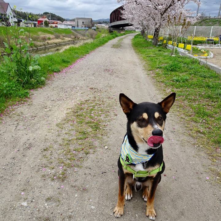 A805d55b f180 4f21 a0fe bdf64fc3a5c0 1617453356321