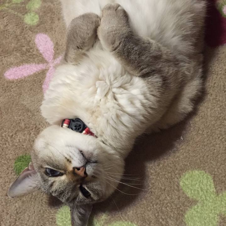 A806081d 7b3b 451f b838 be0c34793da3 1520336962560