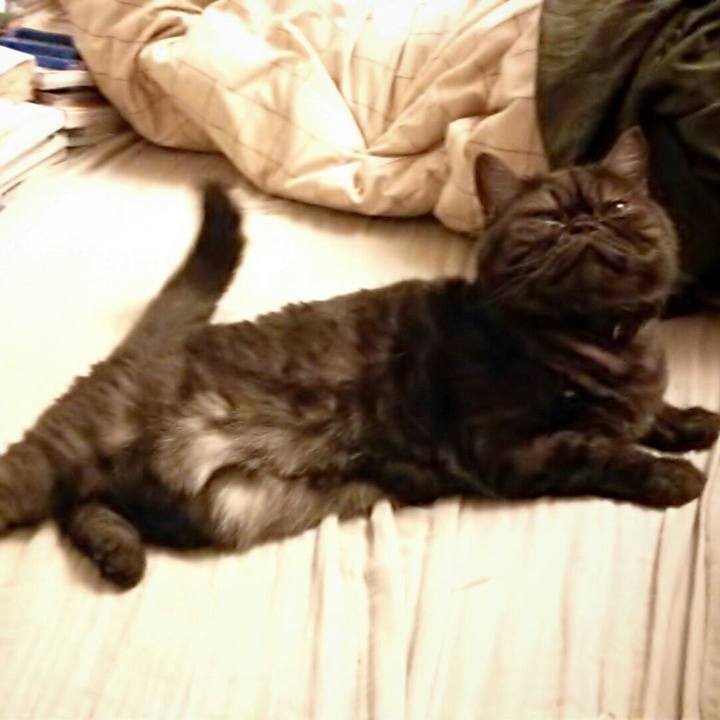 A80637d9 9588 48f3 96ed 6f5bdc782b9b 1507893228452