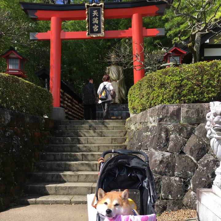 A8065f24 746b 4fb2 9802 dd0897512e37 1570244098958