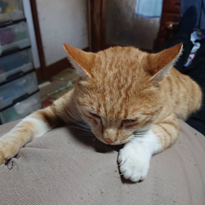 A8067228 6c41 4659 ae42 3335e9ddffa6 1573964010515