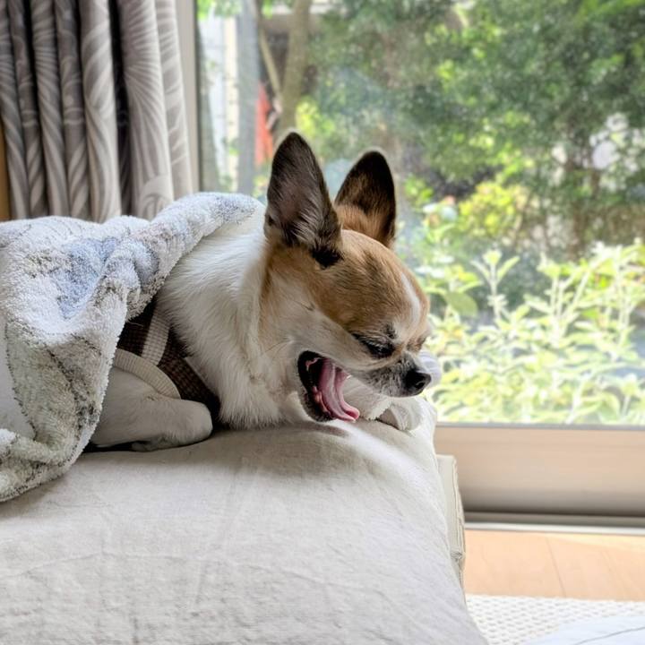 A8067b7d f47c 4c09 bfce 25a55b94fdd4 1758584694260