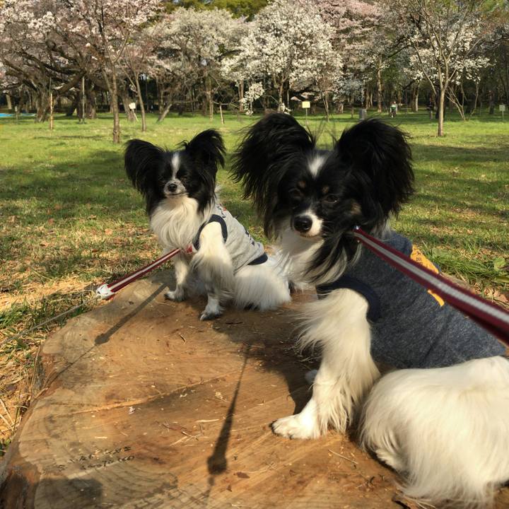 A806b8ae d5d8 464f 8967 ff263a383841 1522547840863