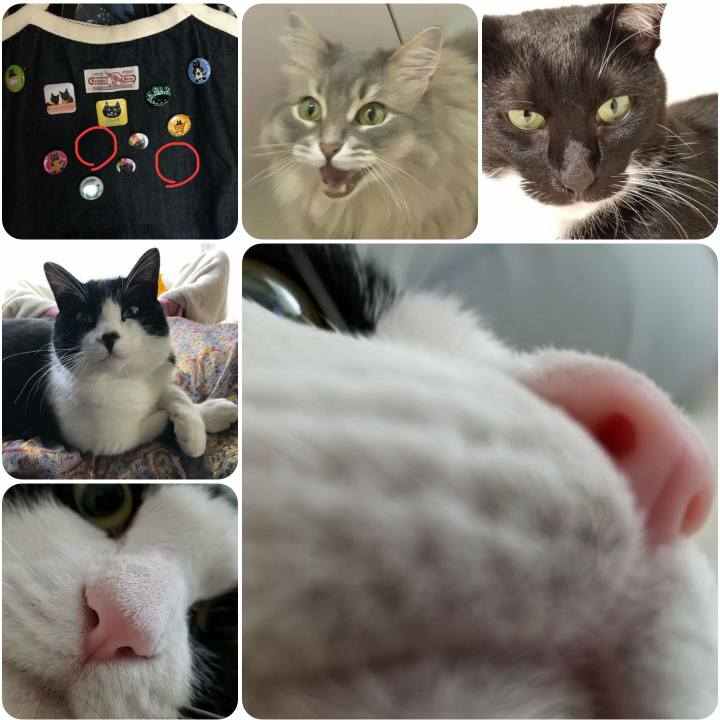 A806ba34 4a82 4975 bbaf 004dbe641802 1561368086426