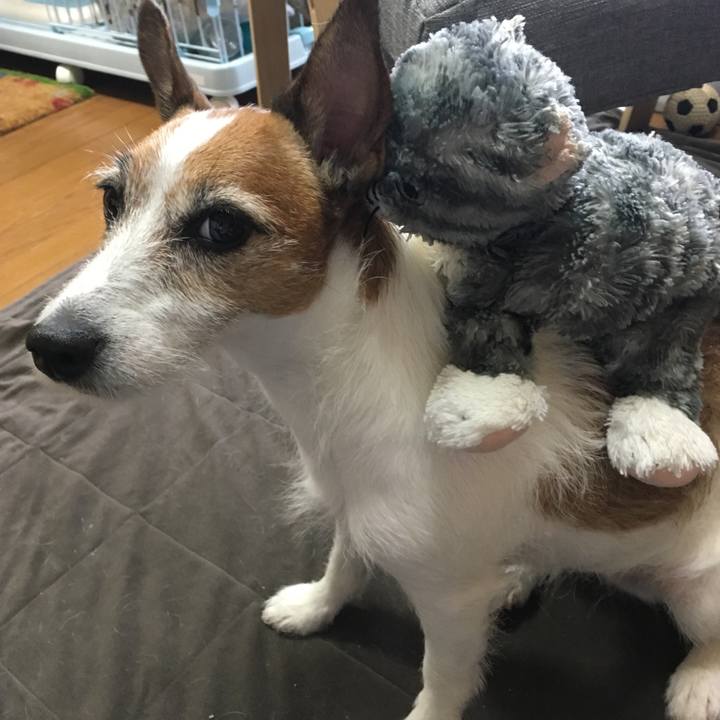 A806e60f 322d 4e97 9159 7da6c2ee08c6 1561766900267