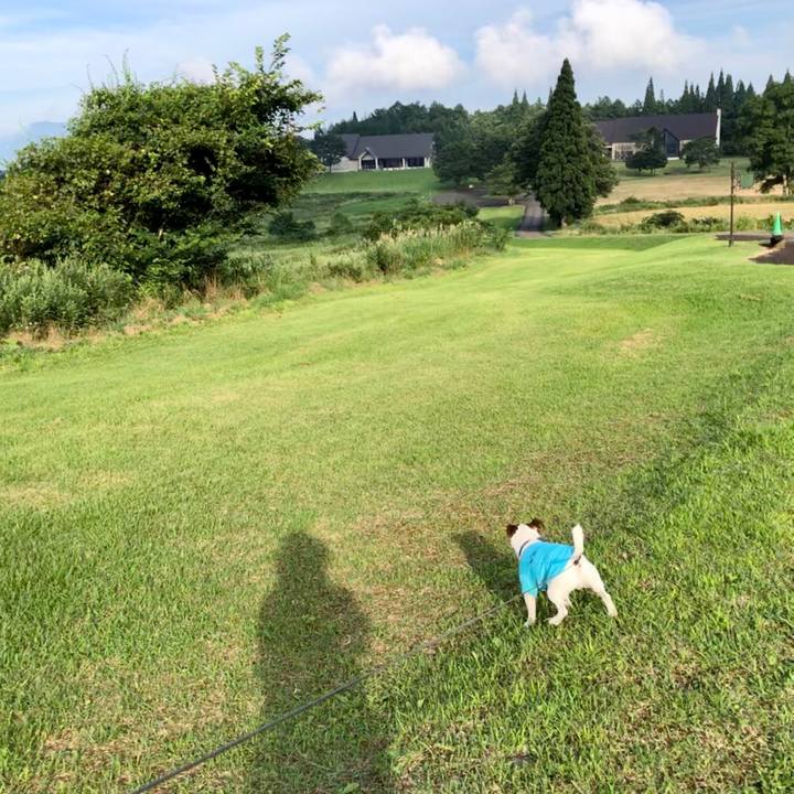 A806f028 0ea1 4ae4 b399 425ec8423c7a 1597579733996