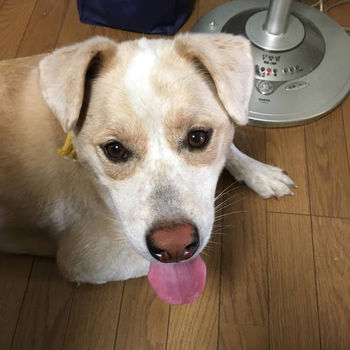 A806f98e 3cbf 4964 8198 57540eb7b287 1533855154787