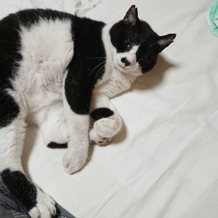 A807059f d443 4193 92b4 f2ebf7e2a013 1661831575779